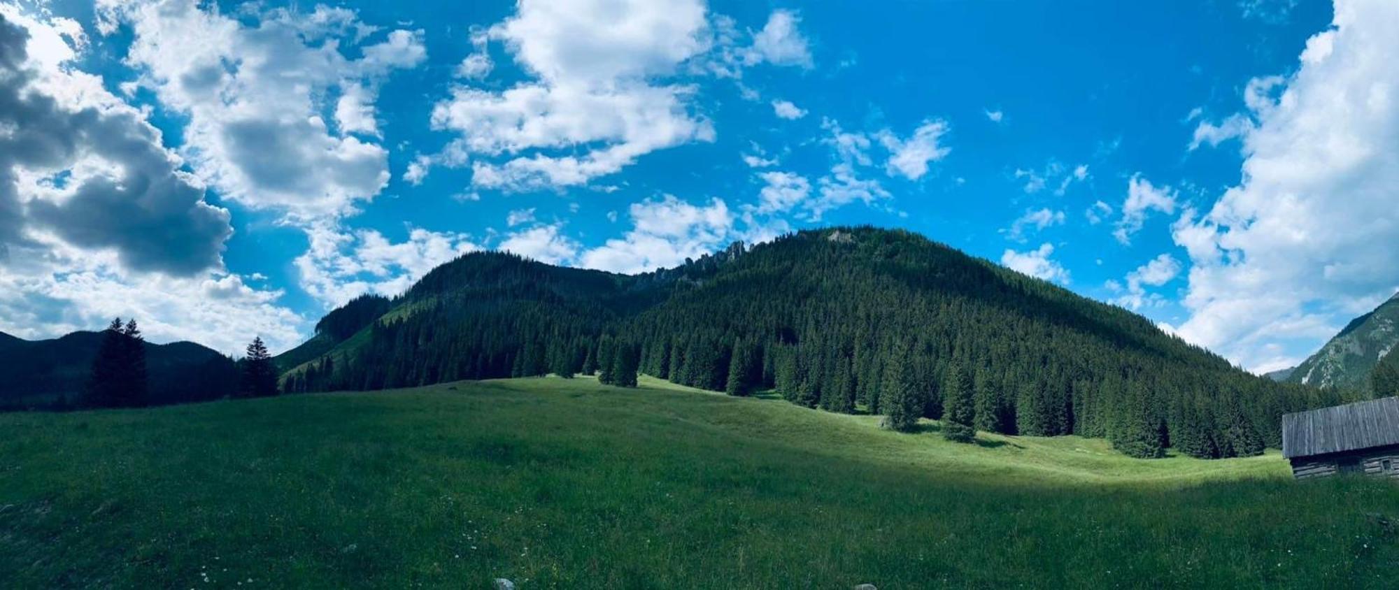 Goralska Chatka Kościelisko Buitenkant foto